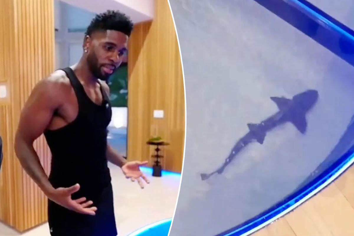 Jason Derulo enfrenta reação negativa por causa do tanque de tubarões de US$ 1 milhão em sua casa na Califórnia
