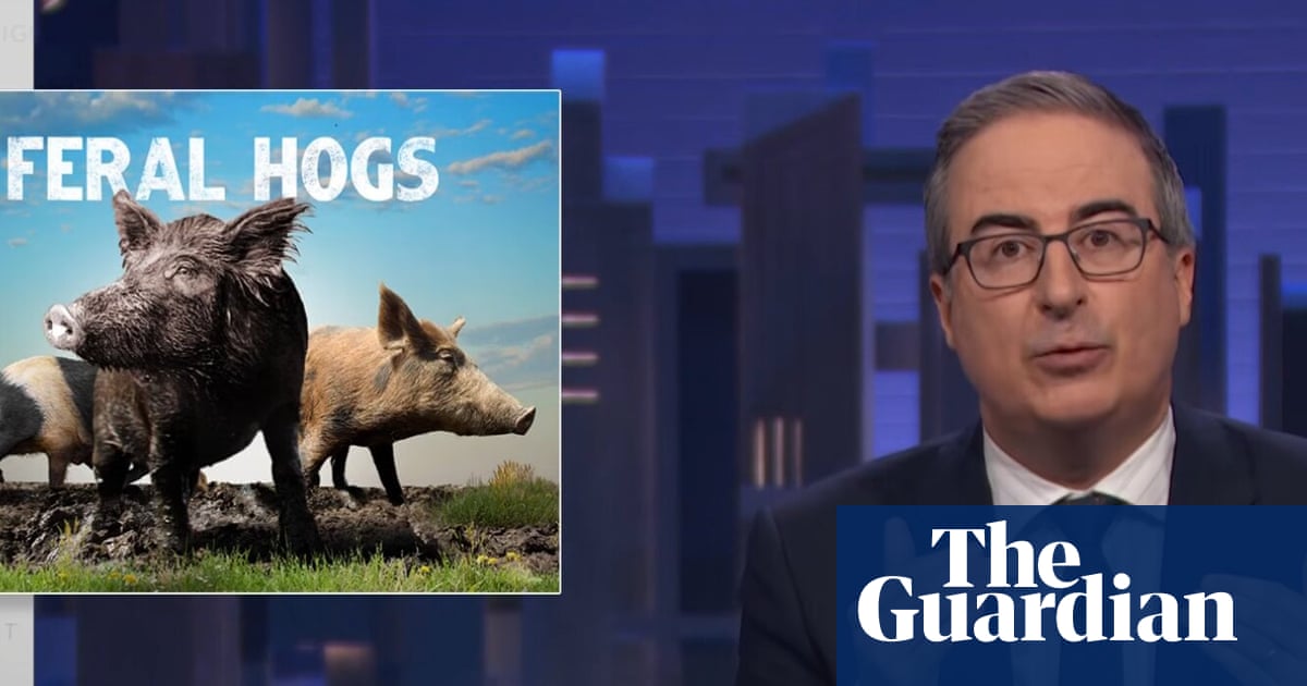 John Oliver sobre porcos selvagens: 'Uma das espécies mais destrutivas do país' | João Oliver