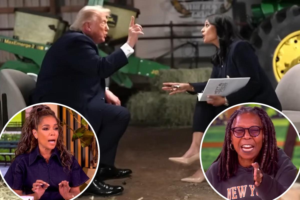Os anfitriões do The View iniciam uma briga violenta sobre a contagem de votos na Califórnia
