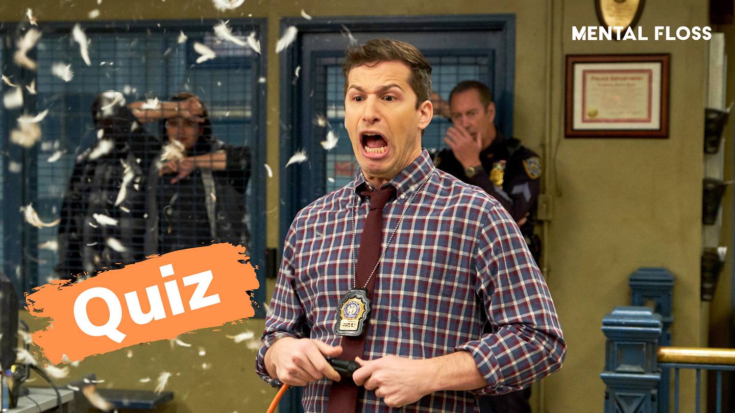 Andy Samberg