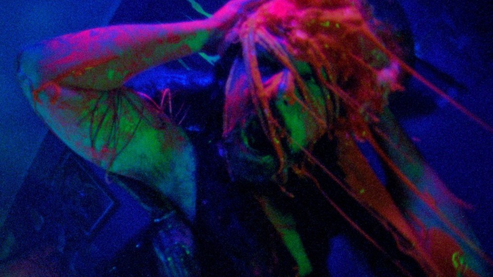 Spin-off argentino de Alien Horror Pic 'Jimmy and Stiggs' pronto para voar