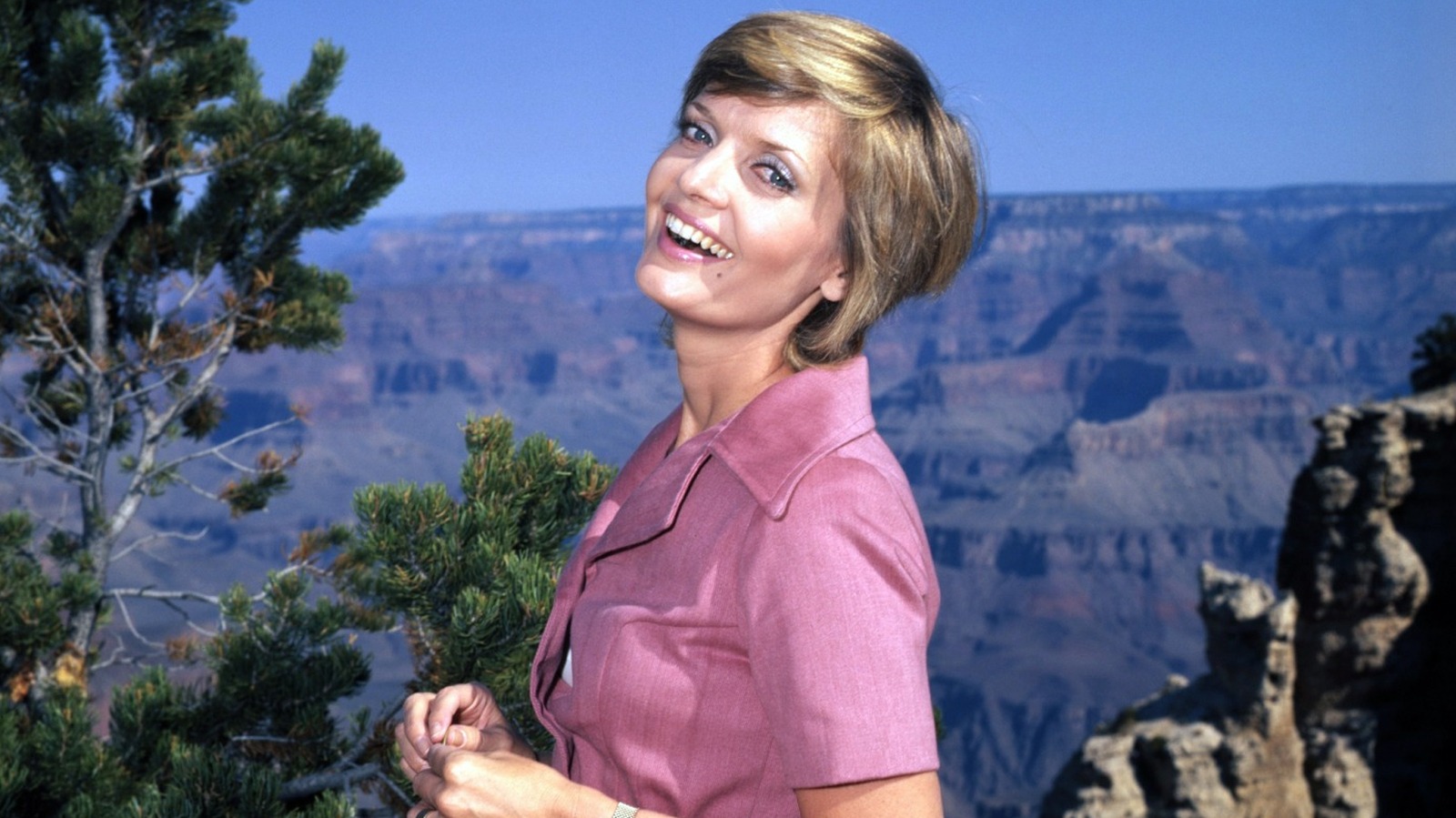 The Brady Bunch: Carol Brady era viúva ou divorciada?